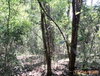 listing thumbnail image 16