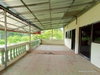 listing thumbnail image 25
