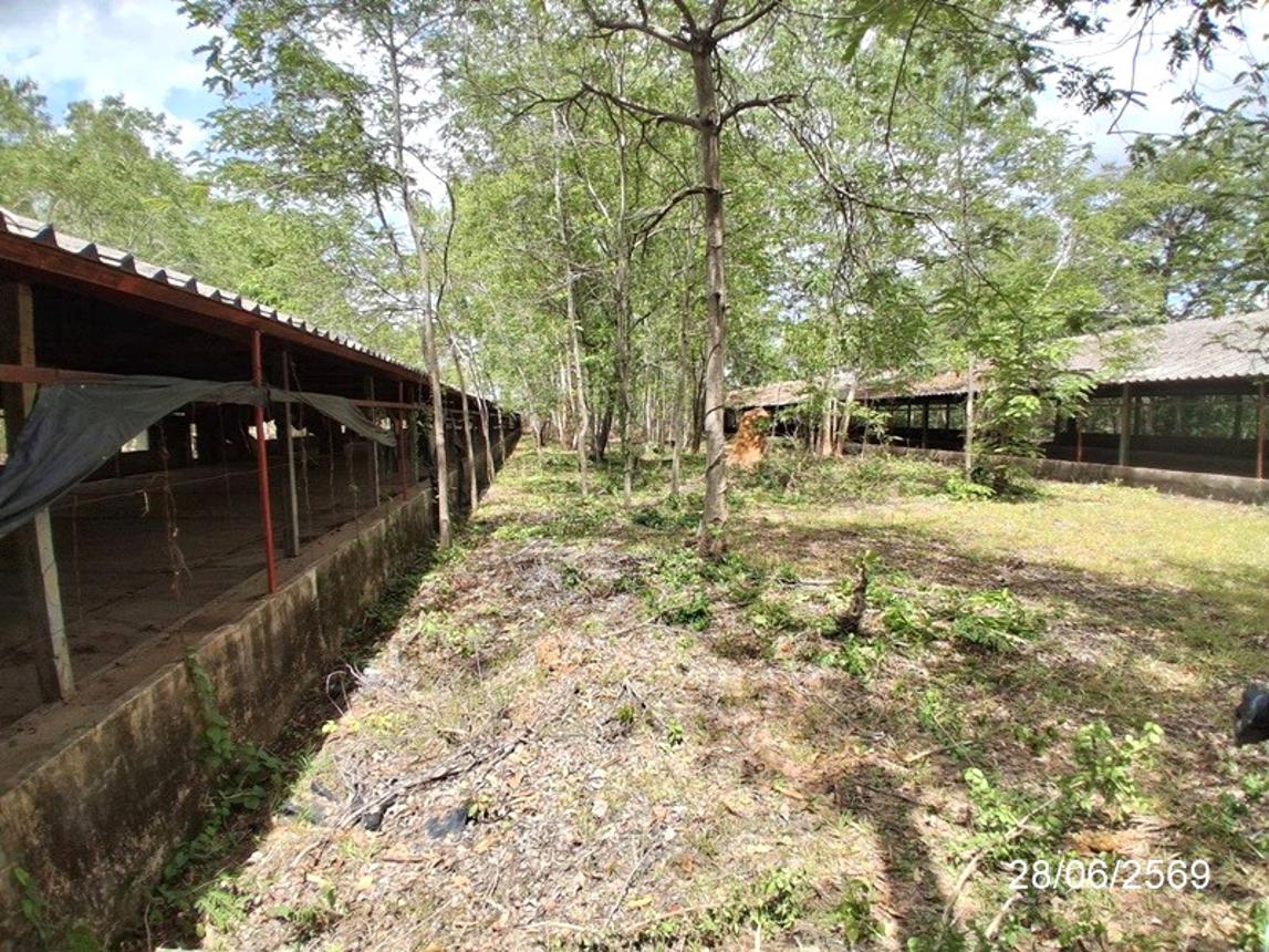 picture LAND 5084 Sq.w. At Samat Roi Et for 5.1M - 27/49