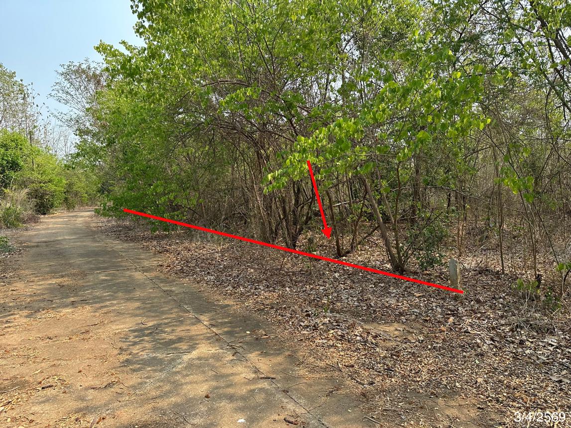 picture LAND 690 Sq.w. Muang Phetchabun Phetchabun for 714,000 - 10/21