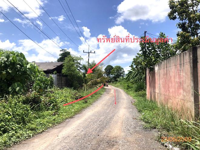 รูป อาคารโรงงาน 3273.1 ตร.วา เมืองสุราษฎร์ธานี สุราษฎร์ธานี 8.9M - รูปที่ 18/39
