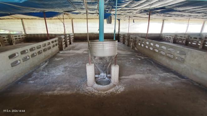 รูป ฟาร์ม 1603 ตร.วา เมืองพัทลุง พัทลุง 5.7M - รูปที่ 19/43