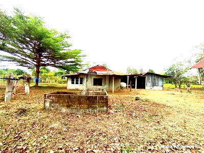 บ้านเดี่ยว เมืองกาฬสินธุ์ กาฬสินธุ์ : บ้านเดี่ยว 825 ตร.วา เมืองกาฬสินธุ์ กาฬสินธุ์ 873,000