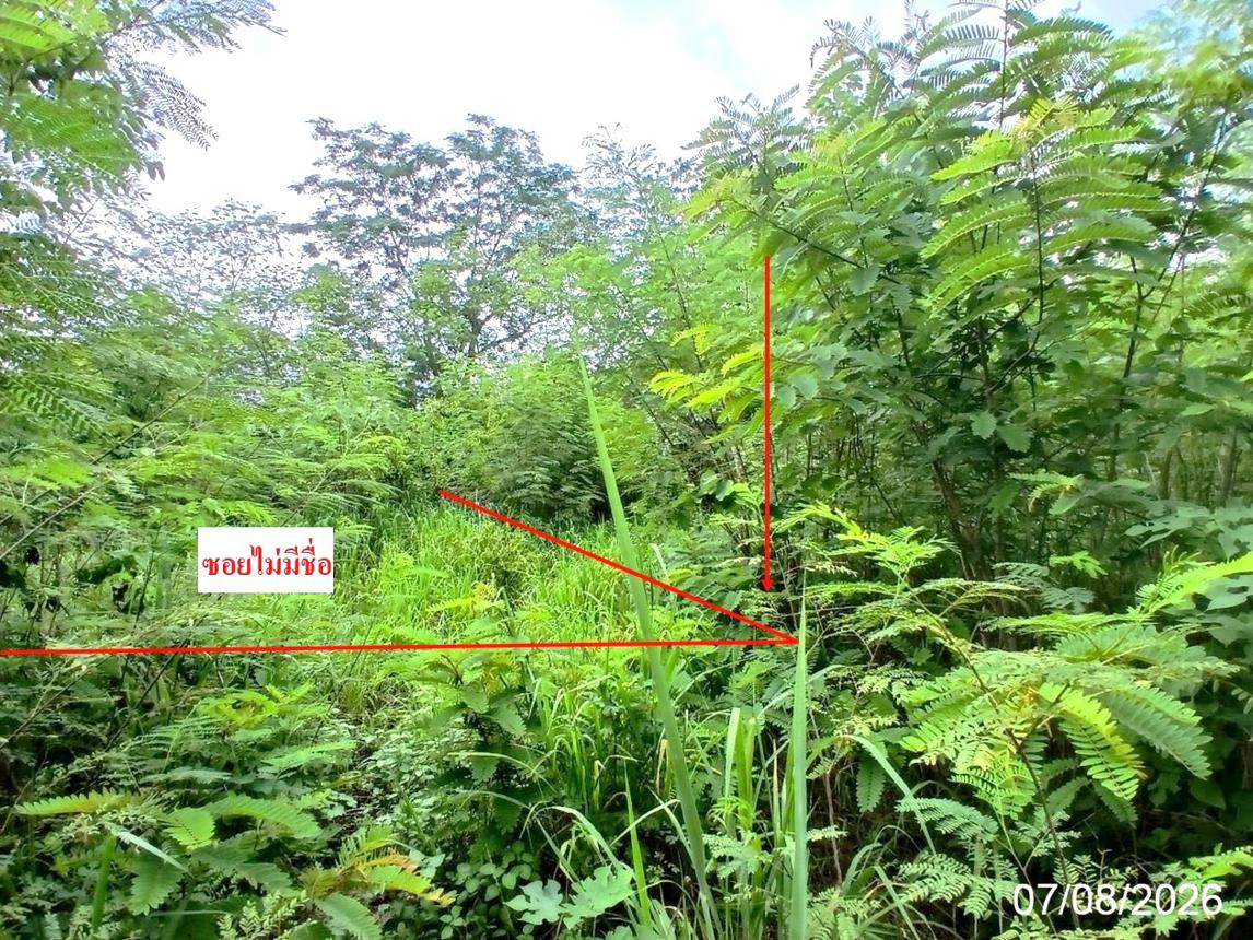 รูป ที่ดินว่างเปล่า 238 ตร.วา วังม่วง สระบุรี 418,000 - รูปที่ 6/11