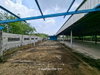 listing thumbnail image 47