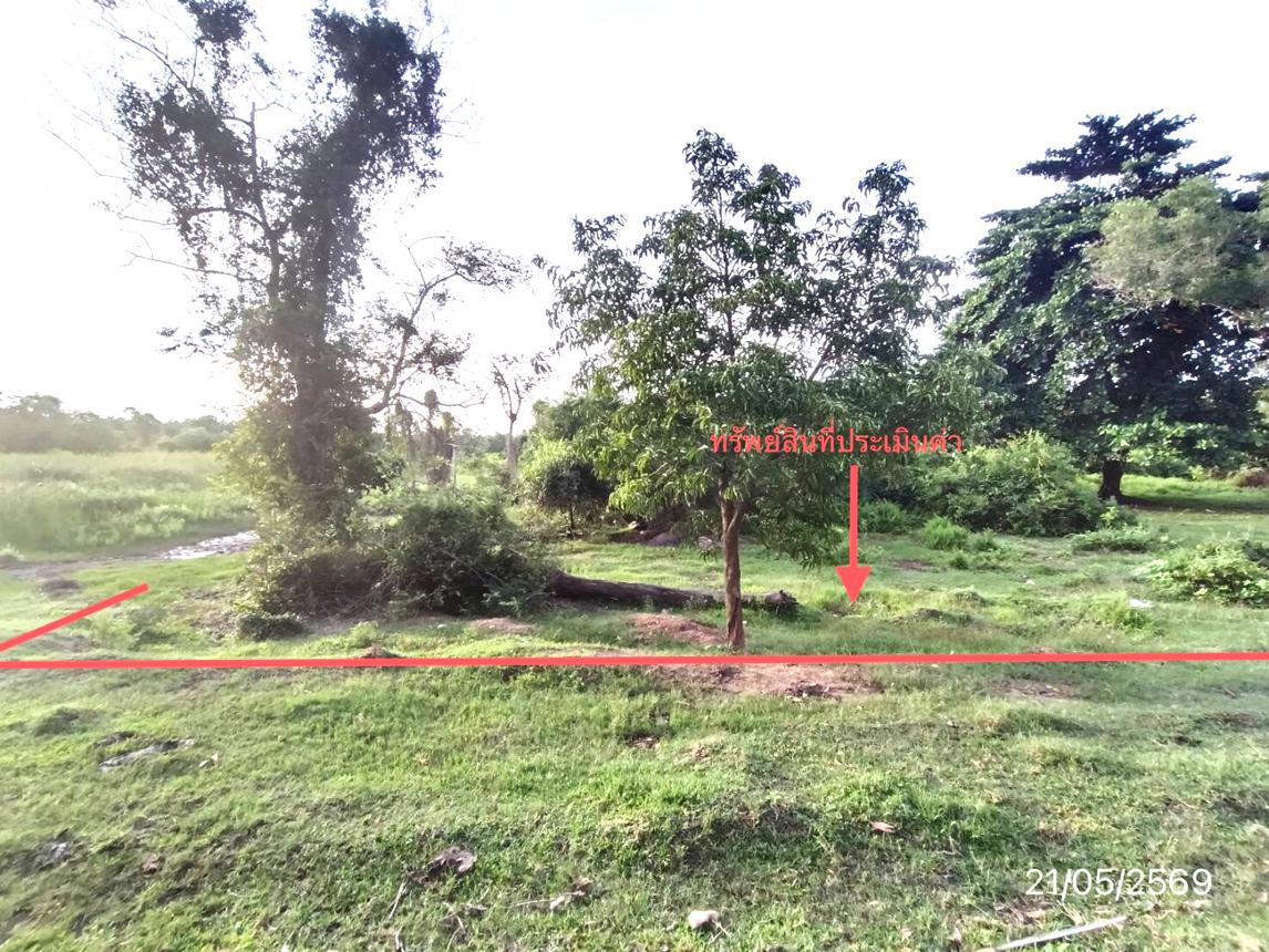 รูป ที่ดินว่างเปล่า 61.8 ตร.วา หาดใหญ่ สงขลา 416,000 - รูปที่ 15/25