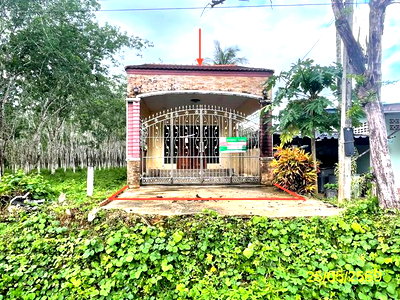 Houses for sale Palian Trang : HOME 37.3 Sq.w. Palian Trang for 1.2M