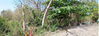 listing thumbnail image 8