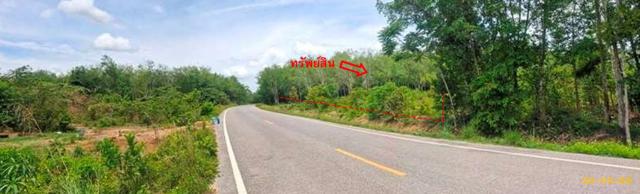 รูป สวนเกษตร 1539 ตร.วา แม่ลาน ปัตตานี 1.4M - รูปที่ 20/23