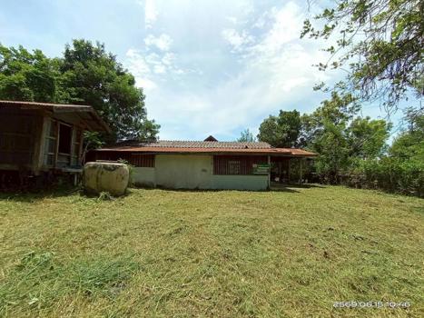 รูป บ้านเดี่ยว 109 ตร.วา บรบือ มหาสารคาม 725,000 - รูปที่ 30/33