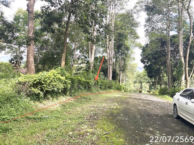 รูป ที่ดินว่างเปล่า 445 ตร.วา แม่สลองฮิลล์ รีสอร์ท แม่จัน เชียงราย 4.1M - รูปที่ 6/17