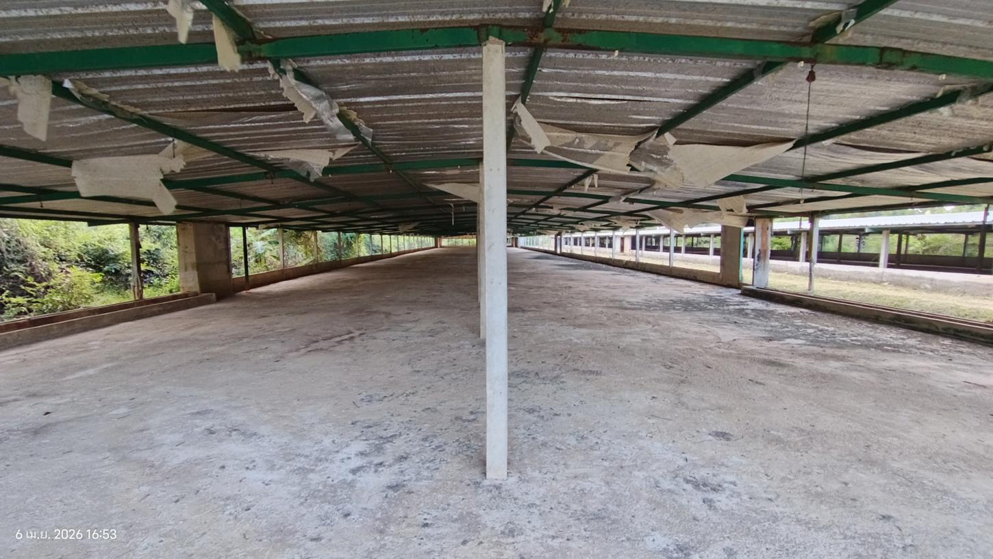รูป ฟาร์ม 3464 ตร.วา สทิงพระ สงขลา 6.9M - รูปที่ 25/41