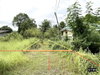 listing thumbnail image 28