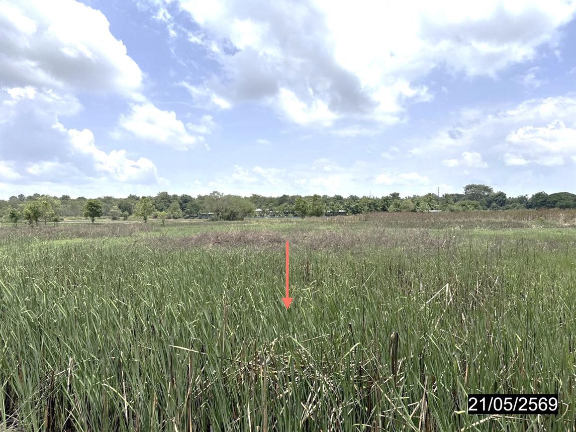 รูป ที่ดินว่างเปล่า 10280 ตร.วา ยางตลาด กาฬสินธุ์ 11M - รูปที่ 19/25