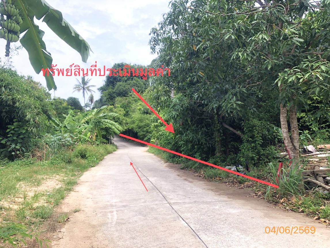 picture LAND 1519 Sq.w. Ko Samui Surat Thani for 14M - 8/15