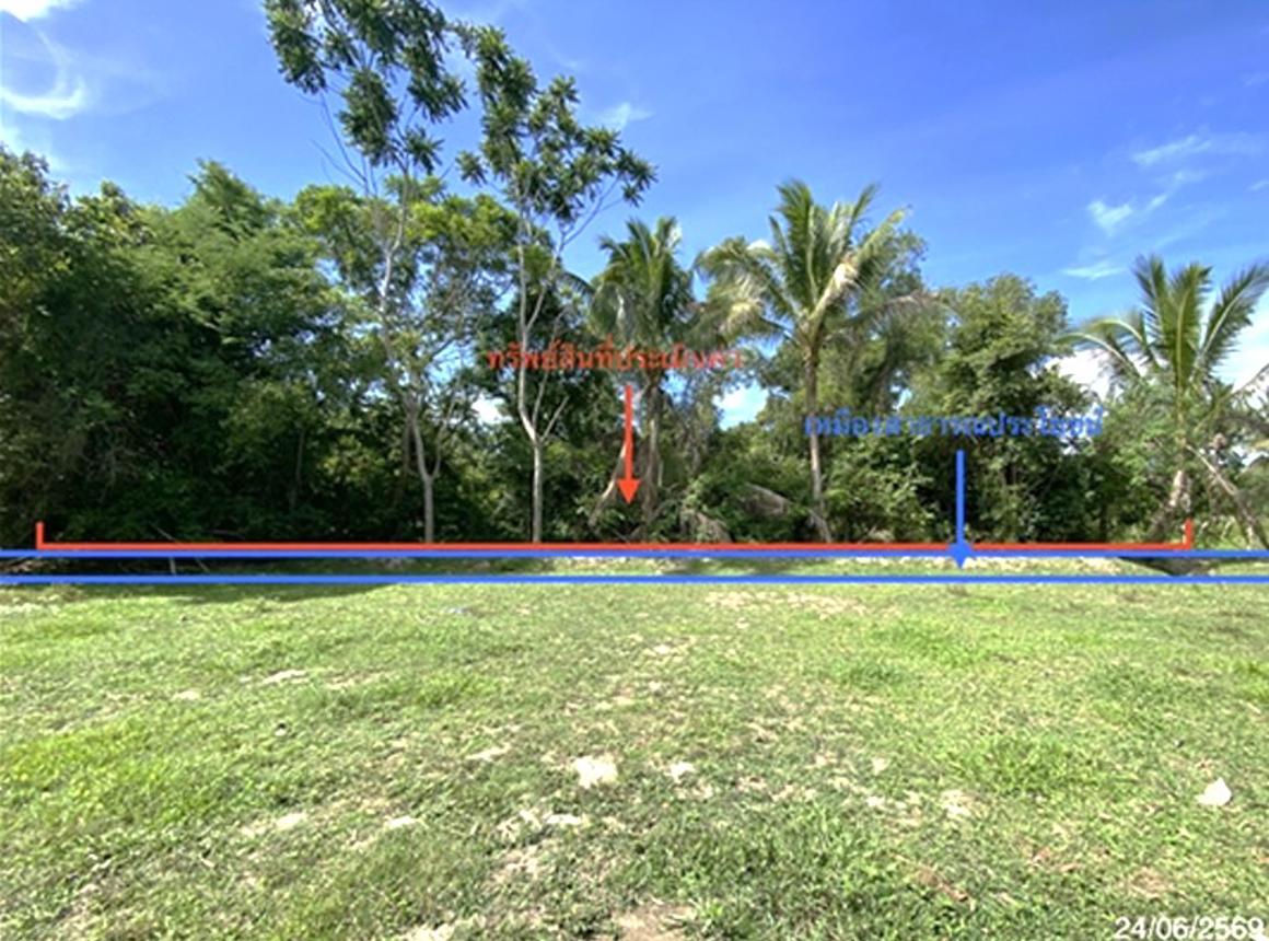 picture LAND 727.8 Sq.w. Rattaphum Songkhla for 8M - 13/21