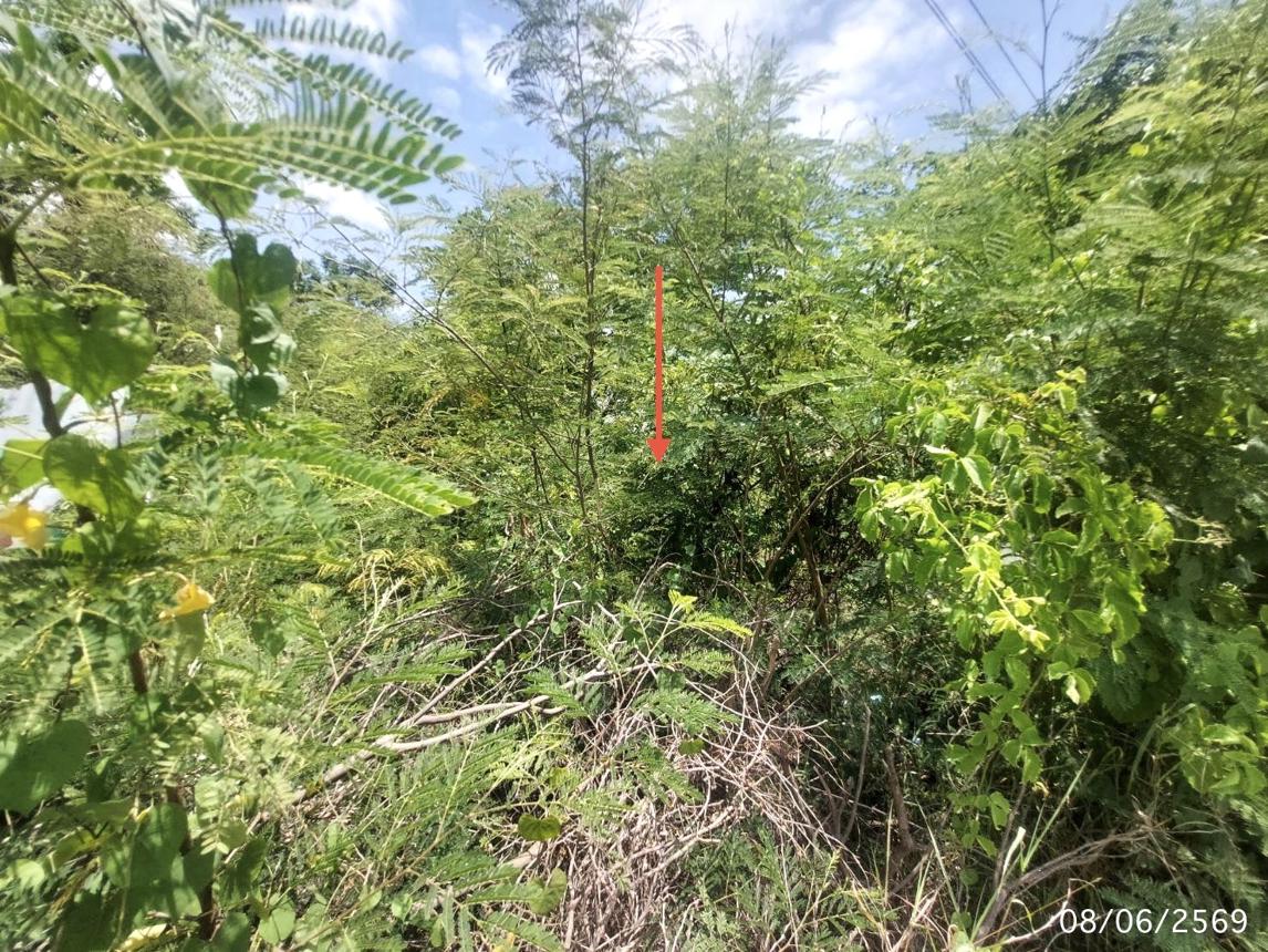 picture LAND 1135.5 Sq.w. Muang Suphanburi Suphanburi for 14.5M - 11/17