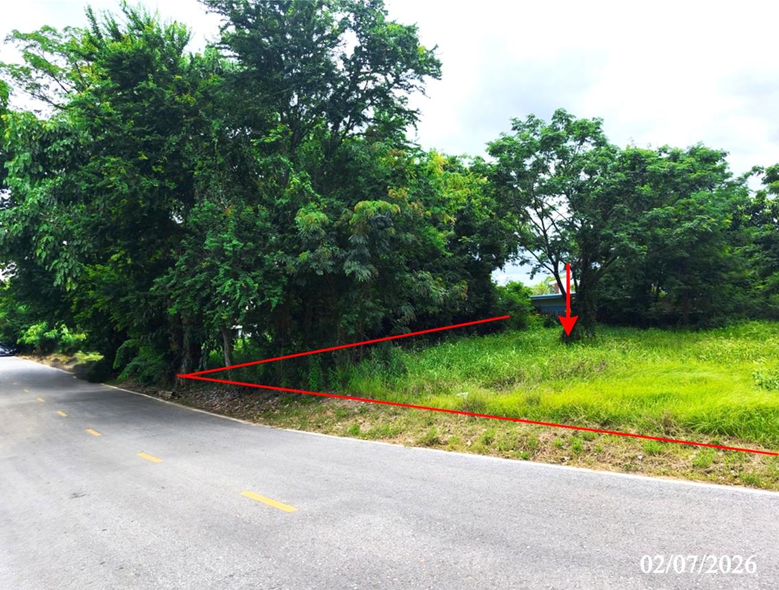รูป ที่ดินว่างเปล่า 320 ตร.วา บางระกำ พิษณุโลก 2.1M - รูปที่ 11/19