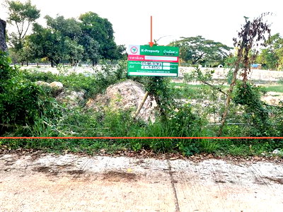 ที่ดิน เขื่องใน อุบลราชธานี : ที่ดินว่างเปล่า 985 ตร.วา เขื่องใน อุบลราชธานี 1.4M