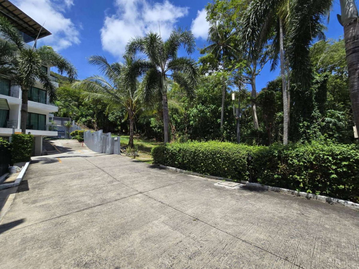 รูป Luxury Rare Sea View หาดกะตะ!! ขายที่ดิน 230.8 ตร.วา เหมาะสร้าง Pool Villa ใกล้หาดกะรน ถนนปฎักทะลุฉลอง | #TPI-3482 - รูปที่ 7/14