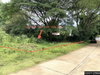 listing thumbnail image 16