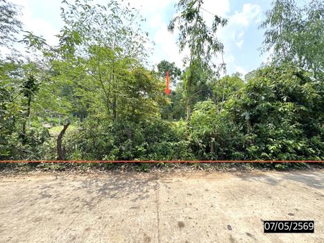 รูป ที่ดินว่างเปล่า 277.4 ตร.วา เมืองสรวง ร้อยเอ็ด 555,000 - รูปที่ 14/17