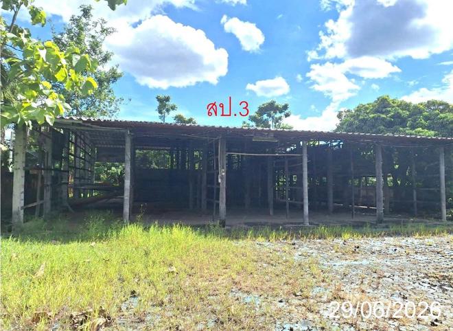 รูป บ้านเดี่ยว 361 ตร.วา ป่าซาง ลำพูน 2.6M - รูปที่ 22/55