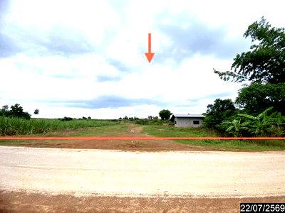Houses for sale Loei : HOME 2344 Sq.w. Wang Saphung Loei for 1.1M