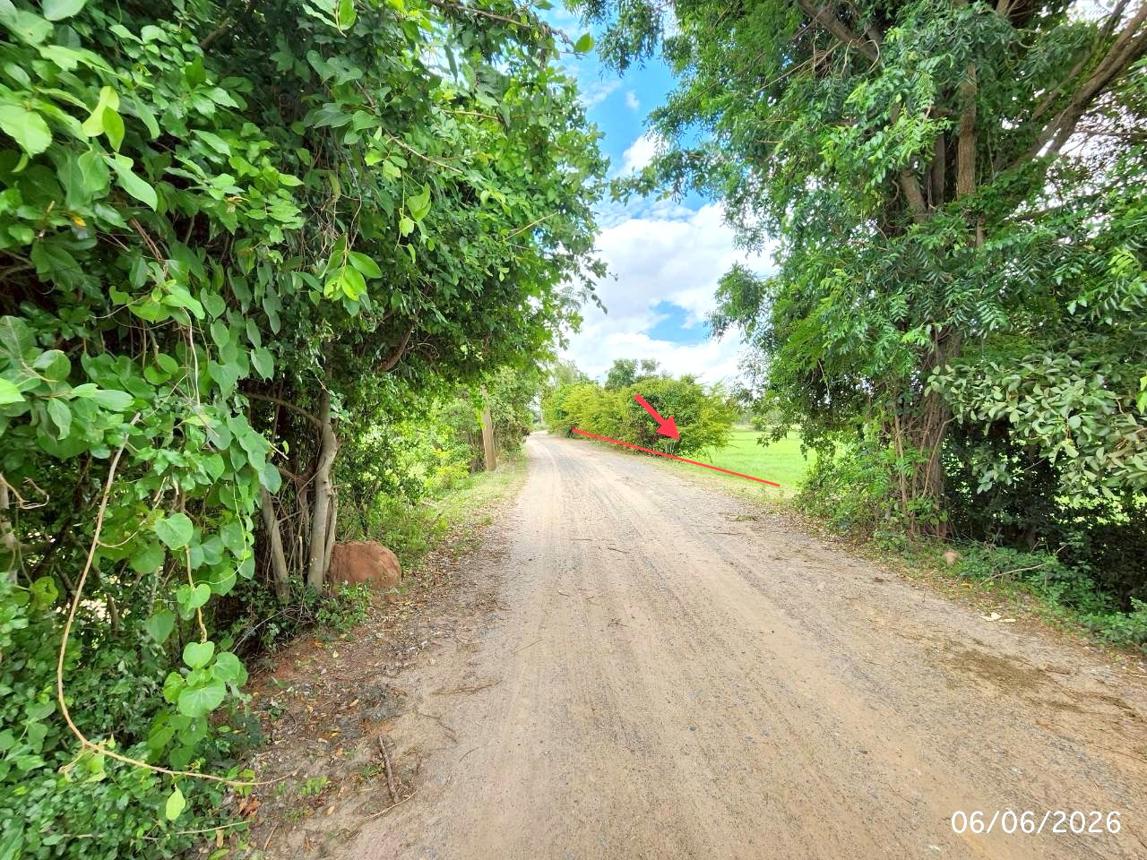 picture LAND 1235 Sq.w. Kaset Wisai Roi Et for 1.3M - 10/17