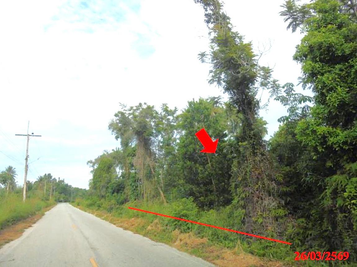 picture LAND 4183 Sq.w. Muang Narathiwat Narathiwat for 3.2M - 8/15