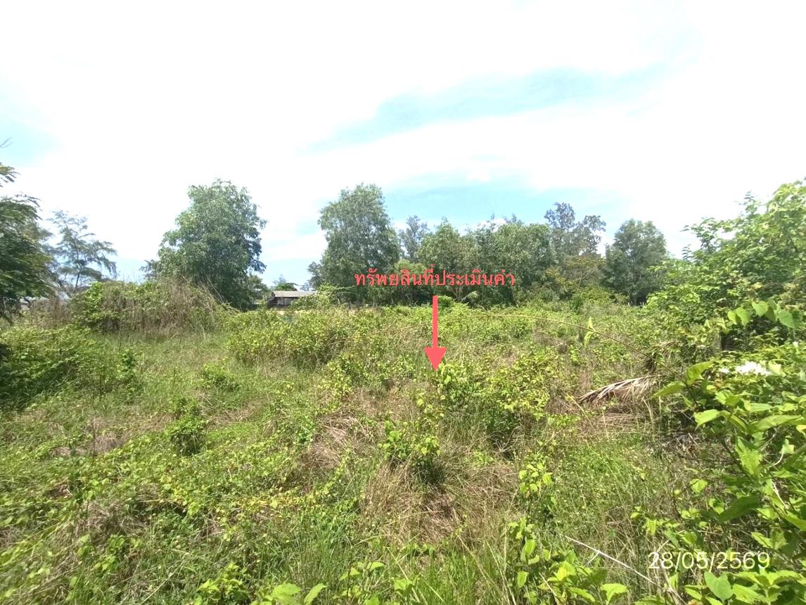 รูป ที่ดินว่างเปล่า 291.3 ตร.วา สทิงพระ สงขลา 826,000 - รูปที่ 17/25
