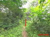 listing thumbnail image 30