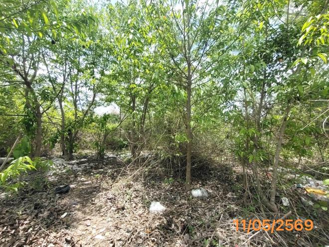 picture LAND 150 Sq.w. Muang Krabi Krabi for 995,000 - 6/15