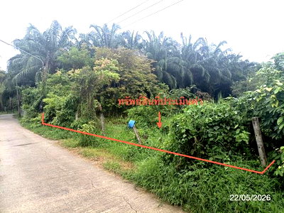 ที่ดิน นครศรีธรรมราช : ที่ดินว่างเปล่า 143 ตร.วา พระพรหม นครศรีธรรมราช 841,000
