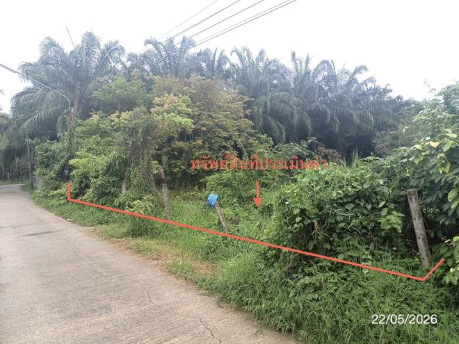 รูป ที่ดินว่างเปล่า 143 ตร.วา พระพรหม นครศรีธรรมราช 841,000 - รูปที่ 1/17