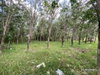 listing thumbnail image 27