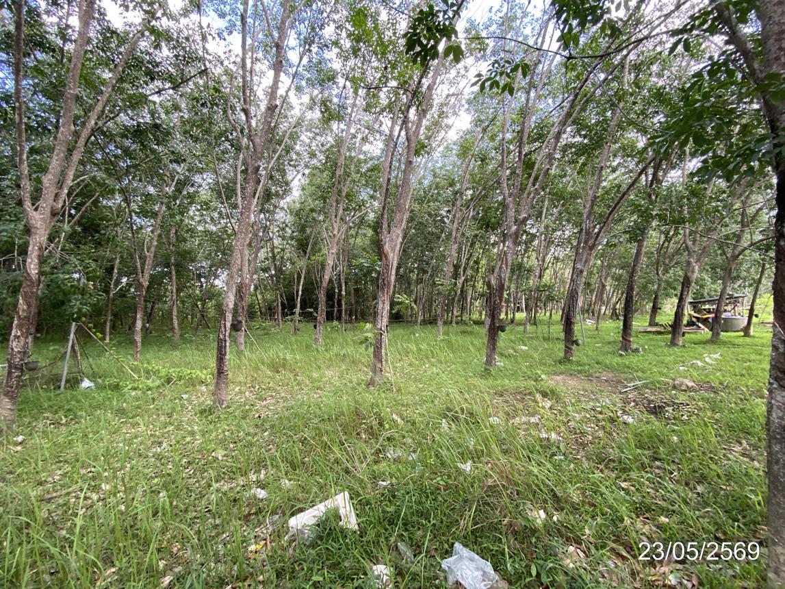 picture HOME 6467.9 Sq.w. Thepha Songkhla for 4.6M - 28/35