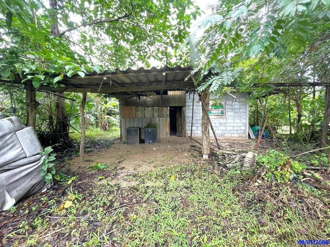 picture HOME 170 Sq.w. Muang Phatthalung Phatthalung for 1.1M - 14/29
