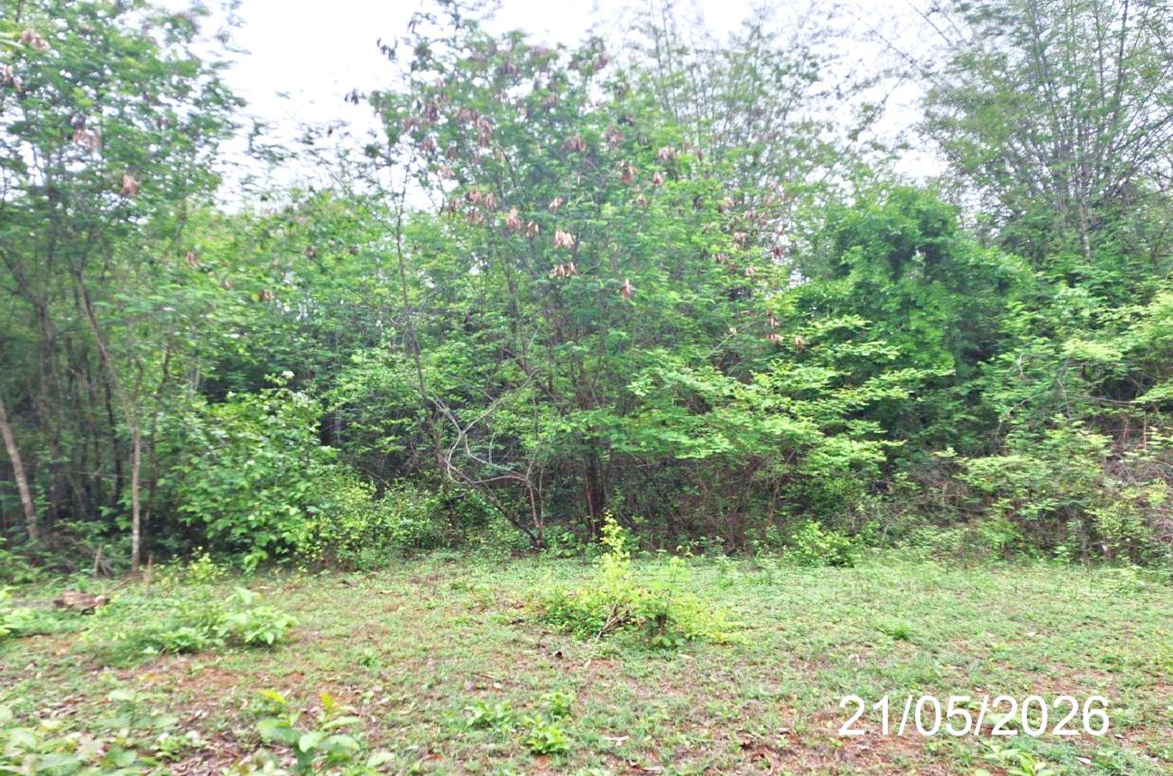 รูป ที่ดินว่างเปล่า 110.9 ตร.วา เมืองลำปาง ลำปาง 208,000 - รูปที่ 11/15