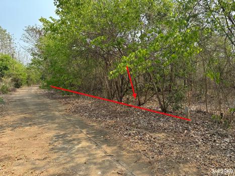 picture LAND 690 Sq.w. Muang Phetchabun Phetchabun for 714,000 - 18/21