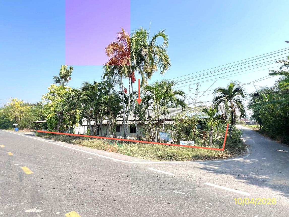 รูป บ้านเดี่ยว 289.7 ตร.วา ปากท่อ ราชบุรี 2.5M - รูปที่ 28/55