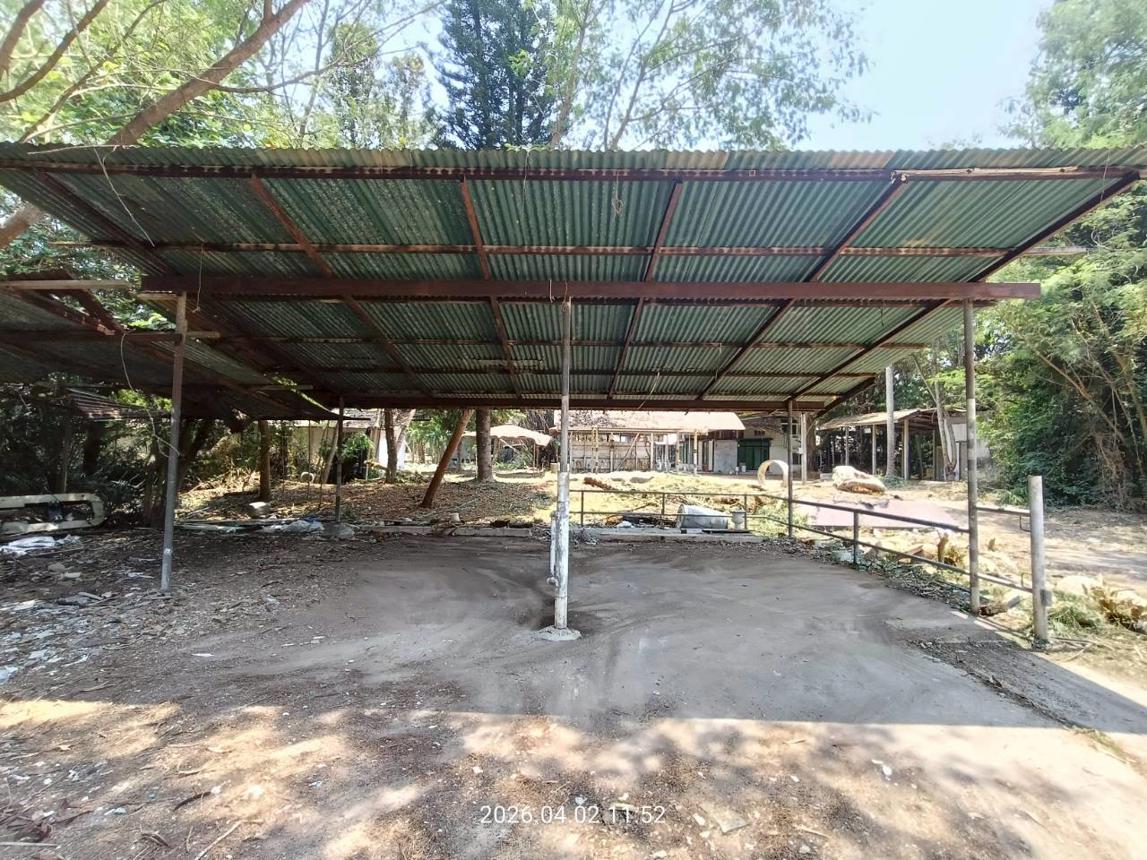รูป ฟาร์ม 6600 ตร.วา เมืองปราจีนบุรี ปราจีนบุรี 8.8M - รูปที่ 76/89
