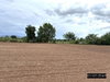 listing thumbnail image 26