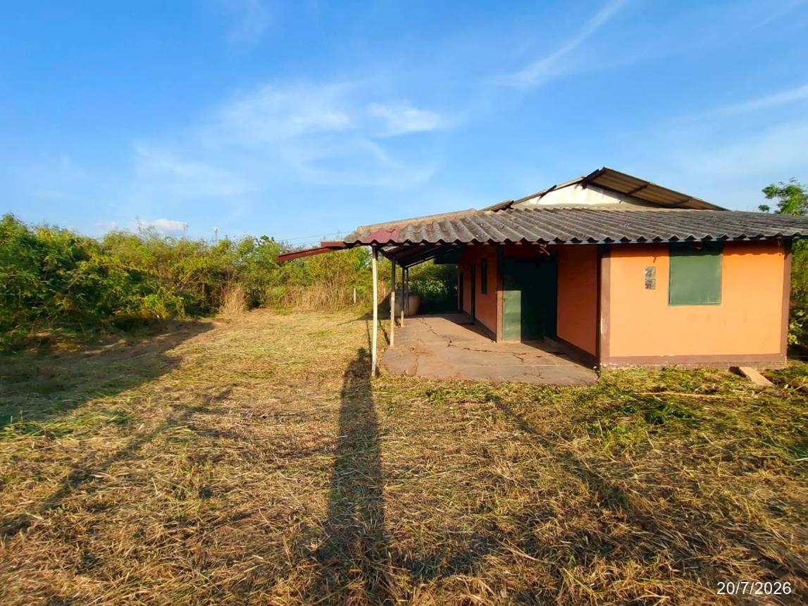 picture FACTORY 1848 Sq.w. Phu Khieo Chaiyaphum for 4.3M - 31/47