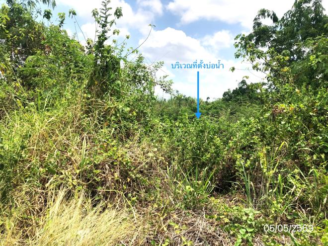 picture LAND 1271.2 Sq.w. Sawankhalok Sukhothai for 4.2M - 7/21