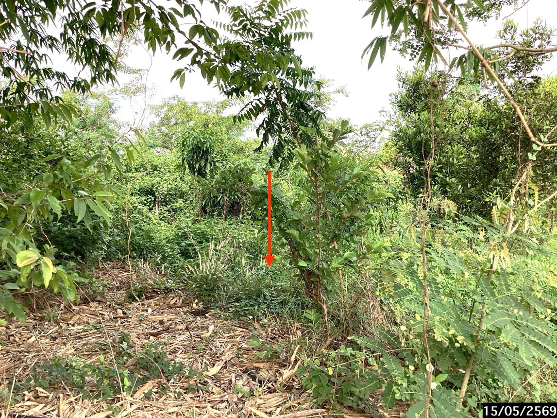 รูป ที่ดินว่างเปล่า 1124.3 ตร.วา เมืองสกลนคร สกลนคร 1.4M - รูปที่ 14/23