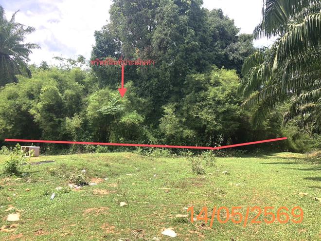 รูป ที่ดินว่างเปล่า 1120 ตร.วา คลองท่อม กระบี่ 2M - รูปที่ 1/17
