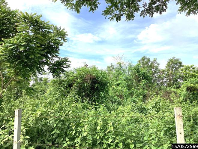 รูป ที่ดินว่างเปล่า 1124.3 ตร.วา เมืองสกลนคร สกลนคร 1.4M - รูปที่ 9/23