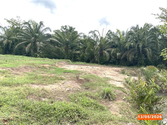 picture LAND 468.3 Sq.w. Kantrang Trang for 2.2M - 5/19