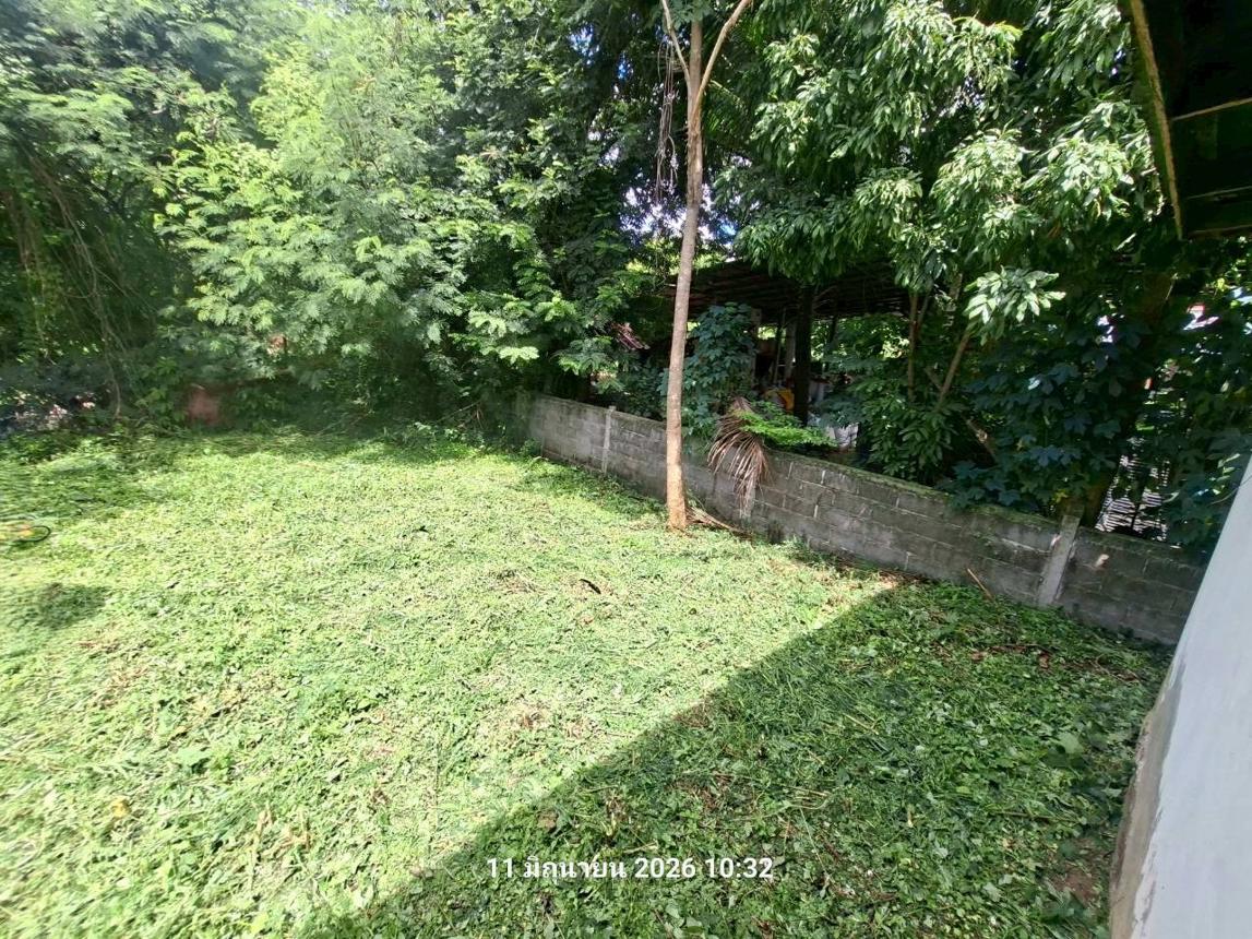 รูป บ้านเดี่ยว 100 ตร.วา หนองไผ่ เพชรบูรณ์ 322,000 - รูปที่ 23/27